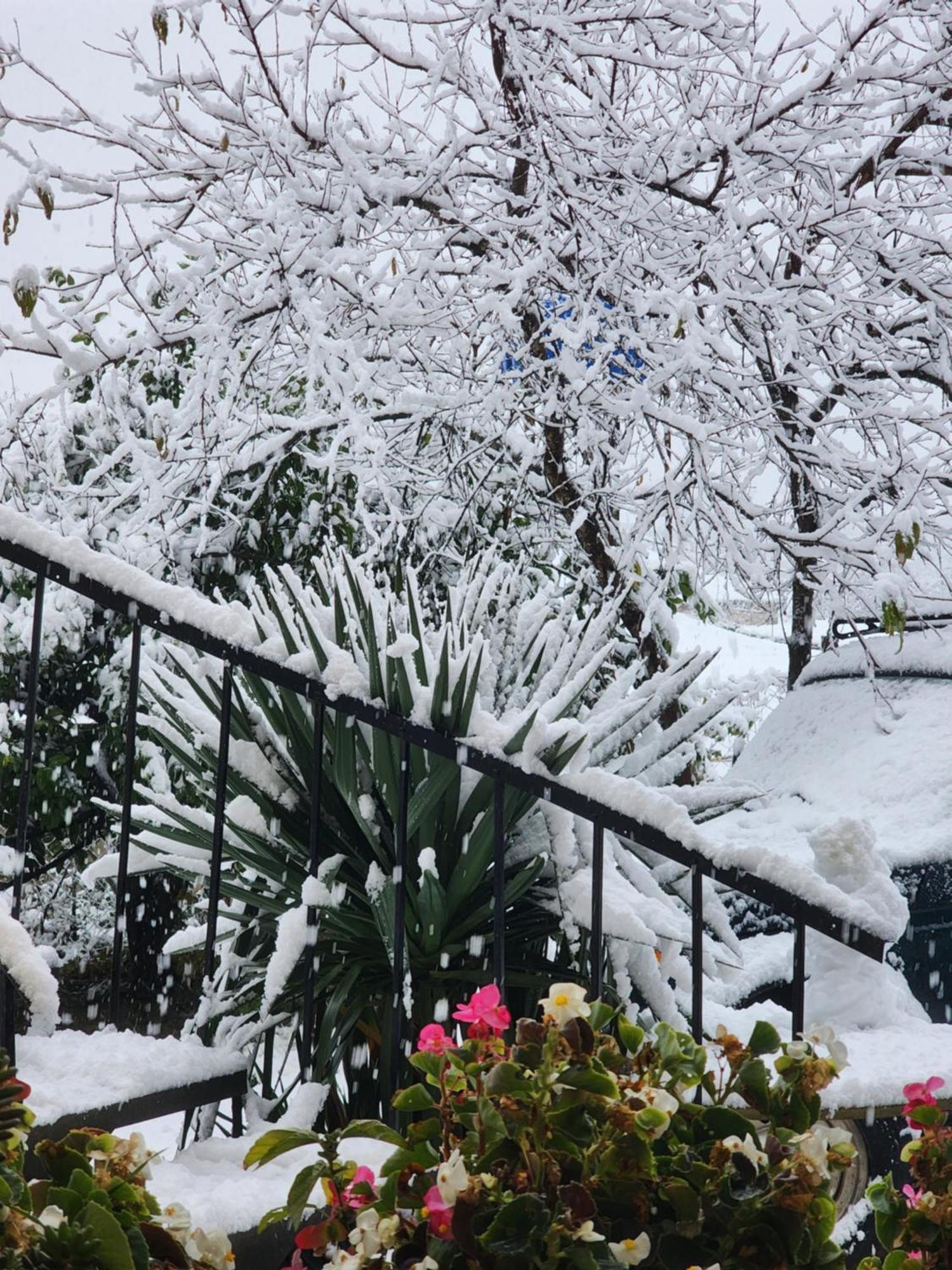My Home Кутаиси Экстерьер фото